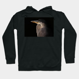 Blue on Black - Great Blue Heron Hoodie